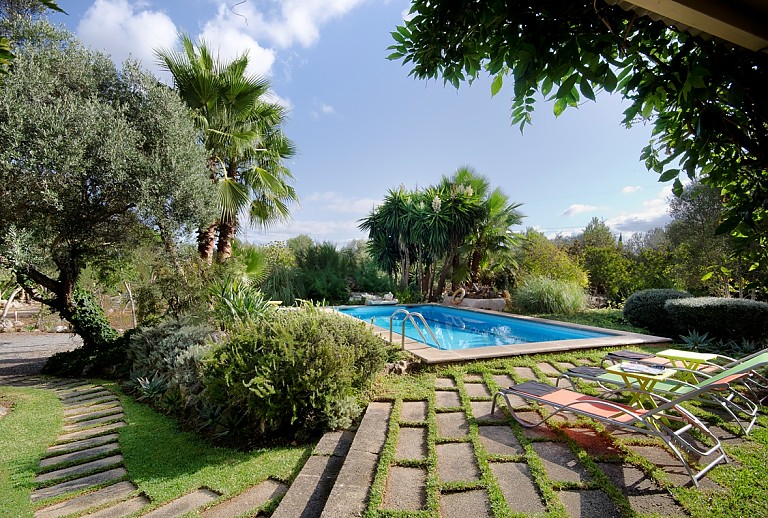 Gartenbereich Sonnenliegen Olivenbaum Palmen Poolbereich