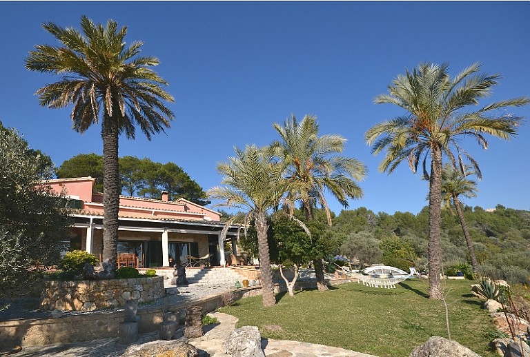 Garten Rasen Palmen Finca Himmel