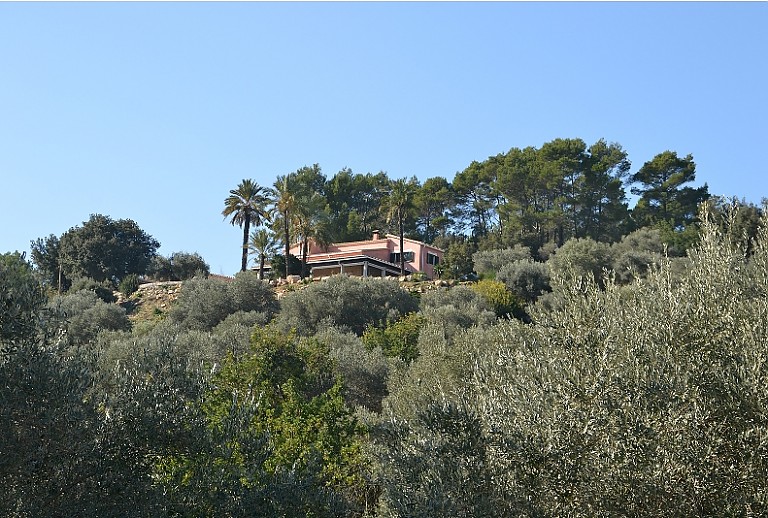 Grundstück Bäume Pflanzen Finca Himmel