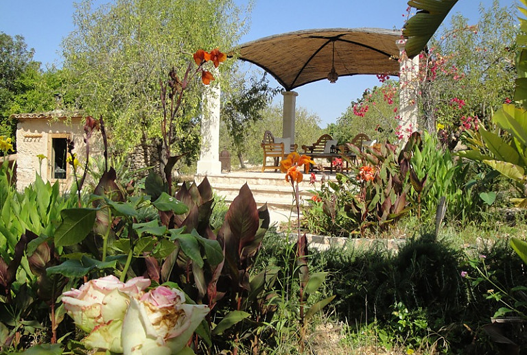 Garten Blumen Pflanzen Pergola