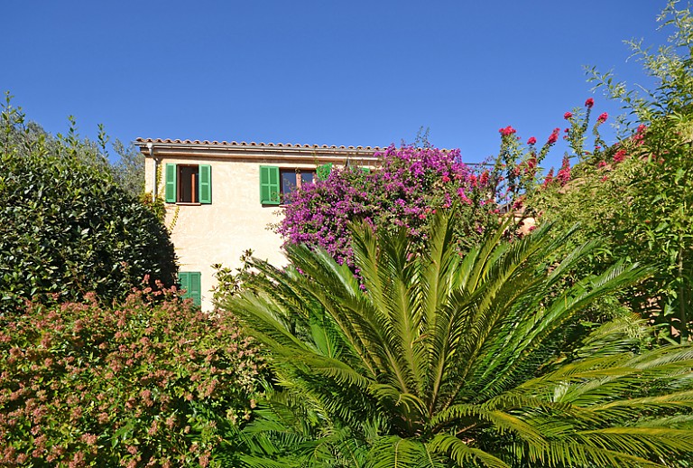 Garten Pflanzen Himmel Haus