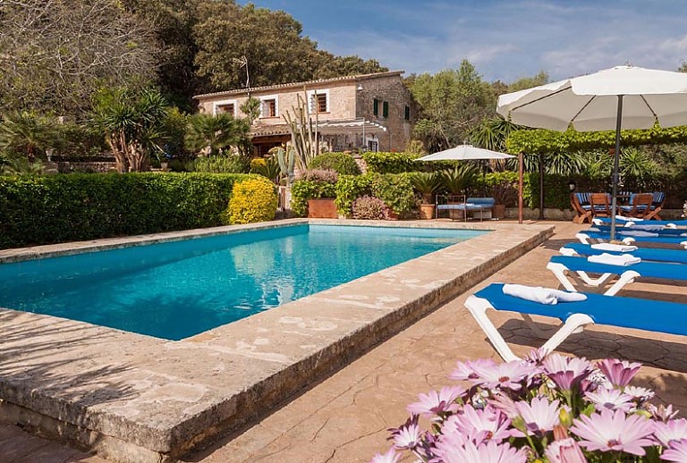 Pool Sonnenliegen Pflanzen Finca