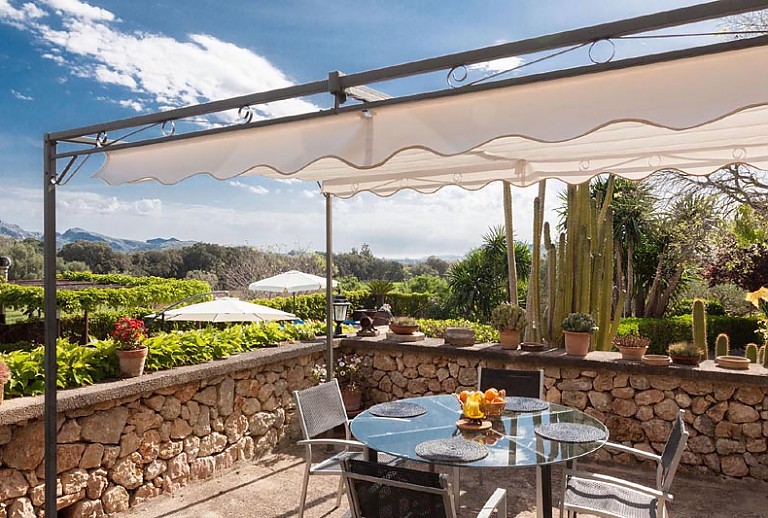 Terrasse Tisch Stühle Topfpflanzen