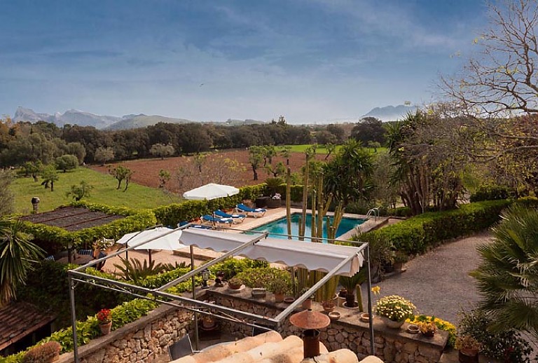 Weitblick Pool Terrasse Pflanzen