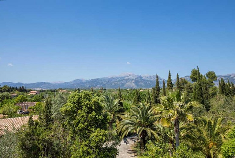 Panoramablick Berge Himmel Palmen