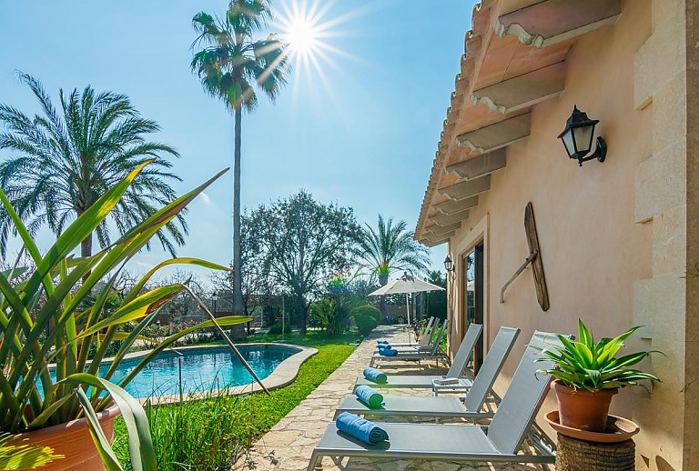 Außenbereich vor der Finca mit Palmen und Rasen und Sonnenliegen