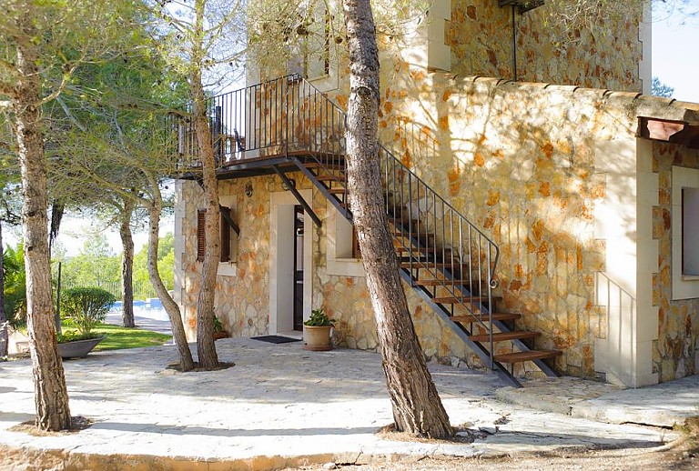 Bäume und Schatten vor der Finca