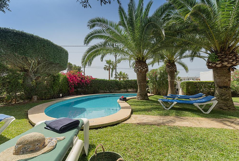 Palmen am Pool mit Sonnenliegen vor dem Ferienhaus