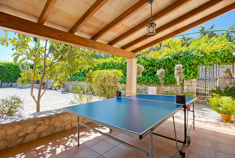 Terrasse mit Vordach und Tischtennisplatte
