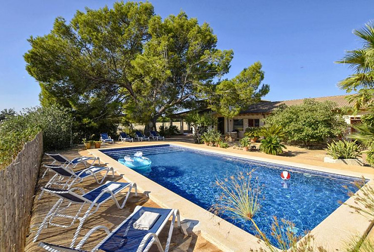 Bäume und Schatten am Poolbereich vor der Finca