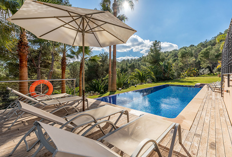 Bäume und Palmen im Garten am Pool